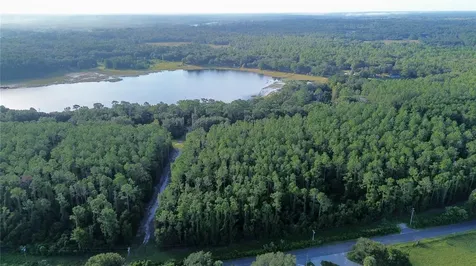 Tbd SE 170th Avenue Ocklawaha FL 32179