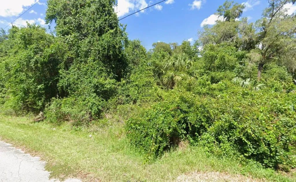 4935 S Romans Avenue Inverness FL 34450