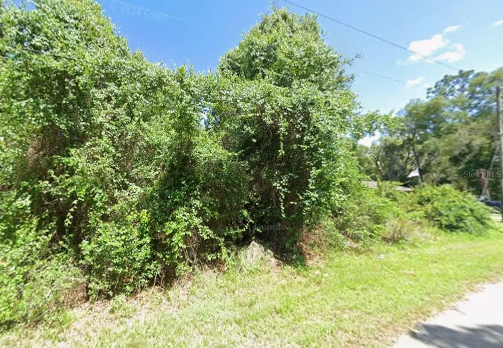 4935 S Romans Avenue Inverness FL 34450