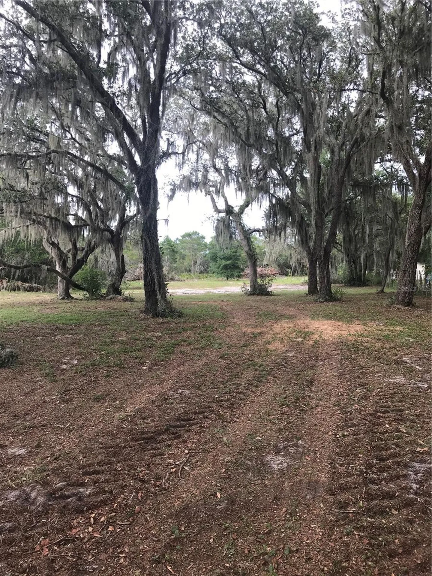 0 80 Foot Road Bartow FL 33830
