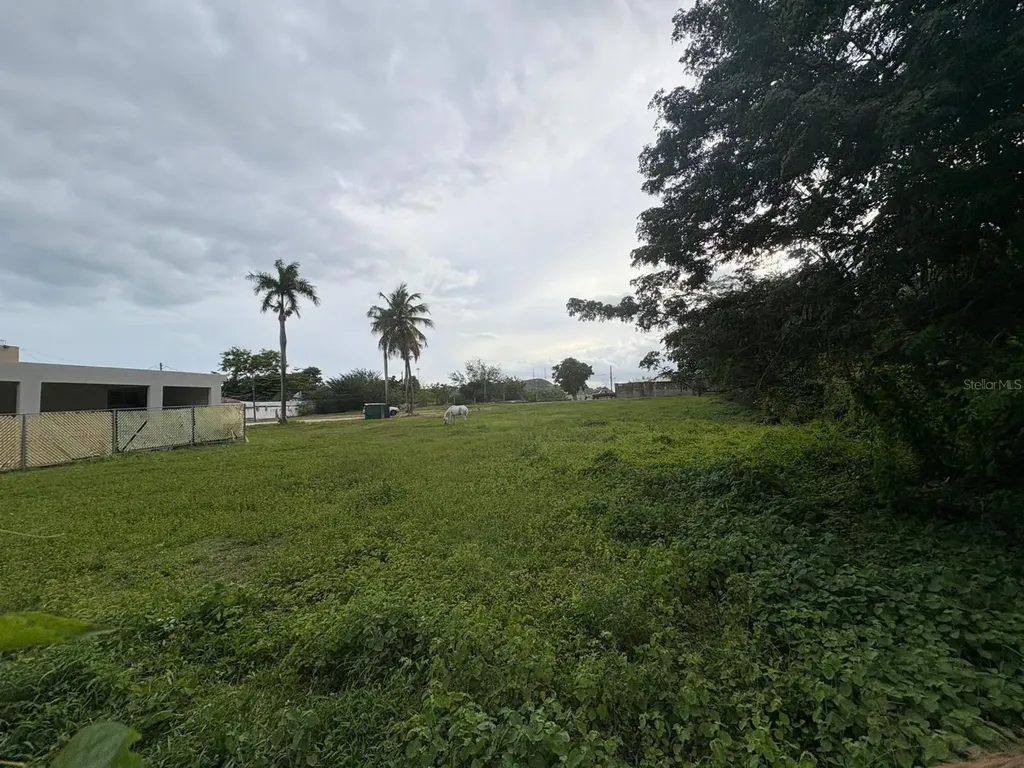 1 Juana Diaz Juana Diaz PR 00795