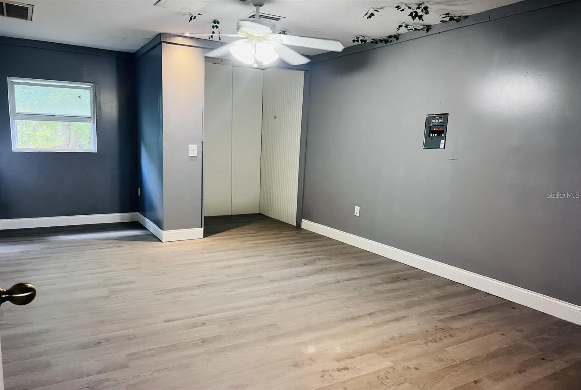 6810 Pearson Lane Wesley Chapel FL 33544