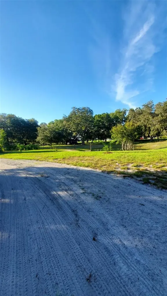 885 Lake Marian Road Kenansville FL 34739