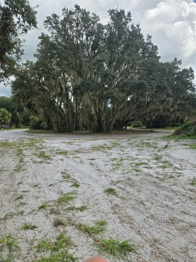 885 Lake Marian Road Kenansville FL 34739