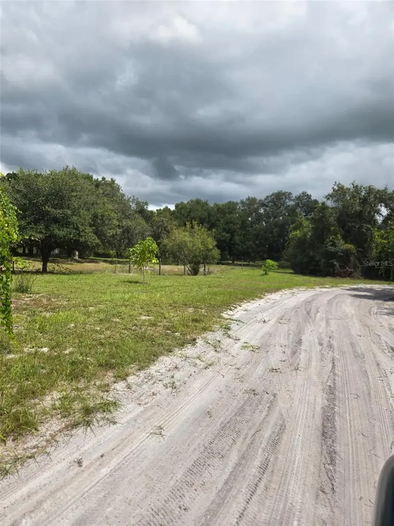 885 Lake Marian Road Kenansville FL 34739
