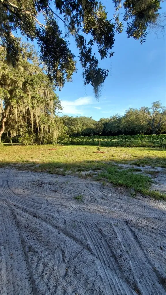 885 Lake Marian Road Kenansville FL 34739