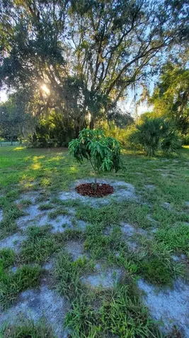 885 Lake Marian Road Kenansville FL 34739