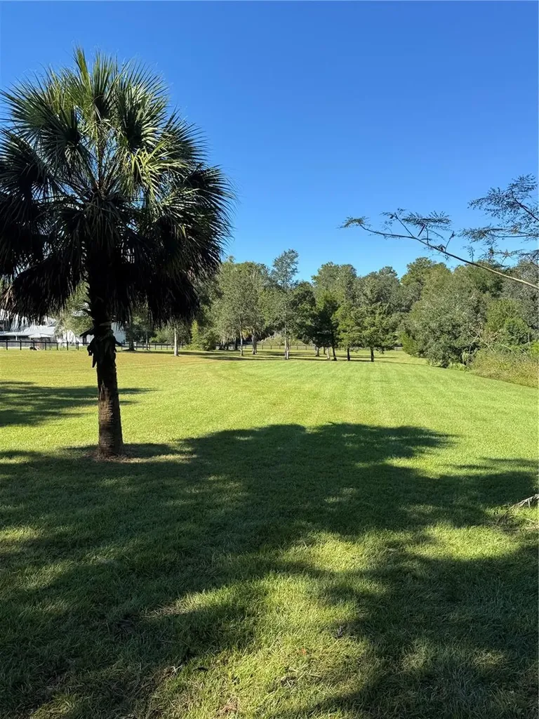Tbd NE 185 Avenue Williston FL 32696