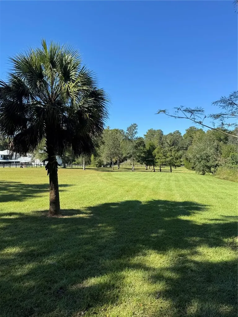 Tbd NE 185 Avenue Williston FL 32696