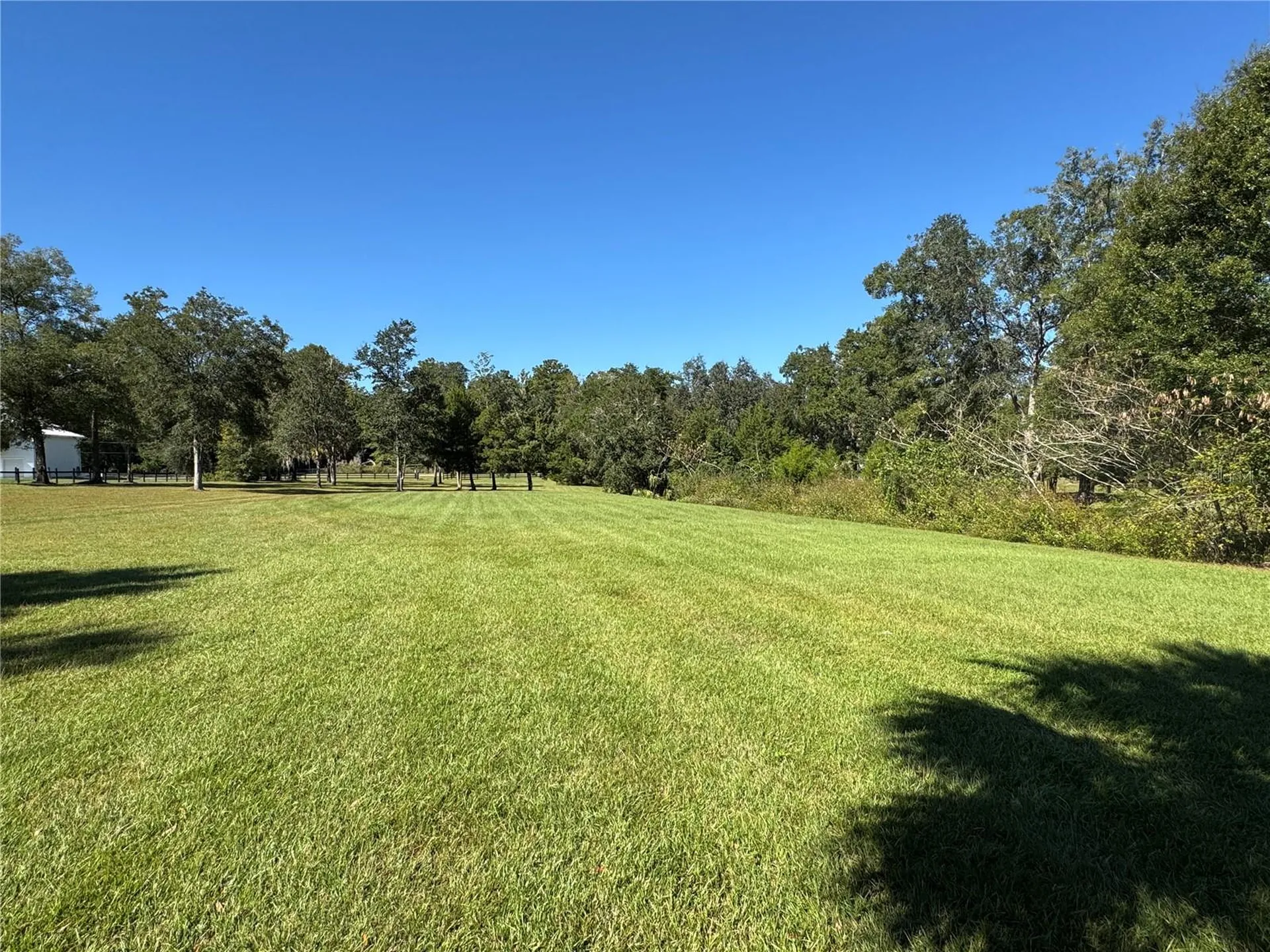 Tbd NE 185 Avenue Williston FL 32696