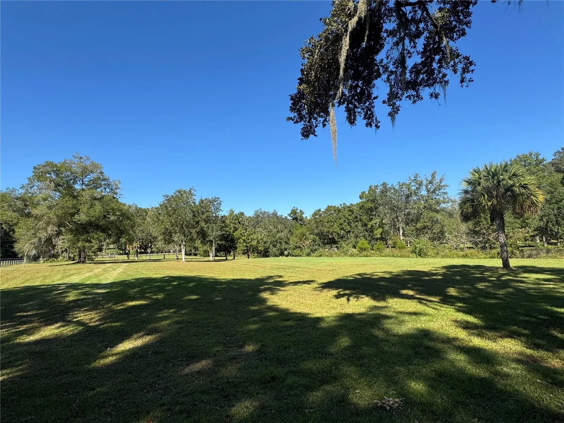 Tbd NE 185 Avenue Williston FL 32696
