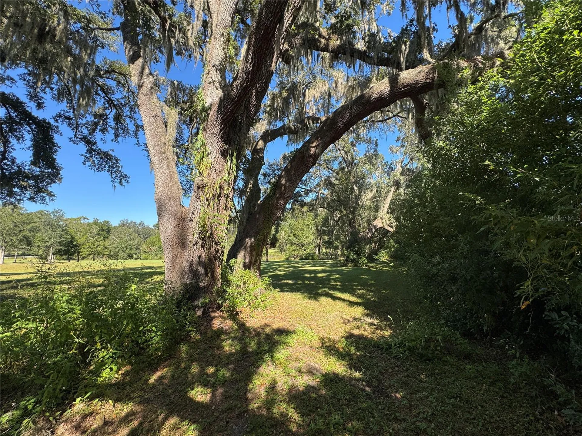 Tbd NE 185 Avenue Williston FL 32696