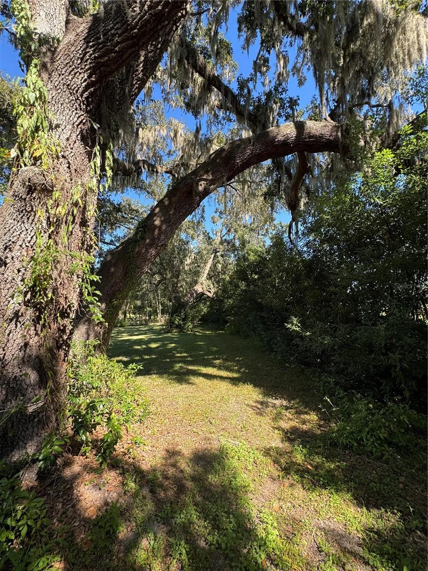 Tbd NE 185 Avenue Williston FL 32696