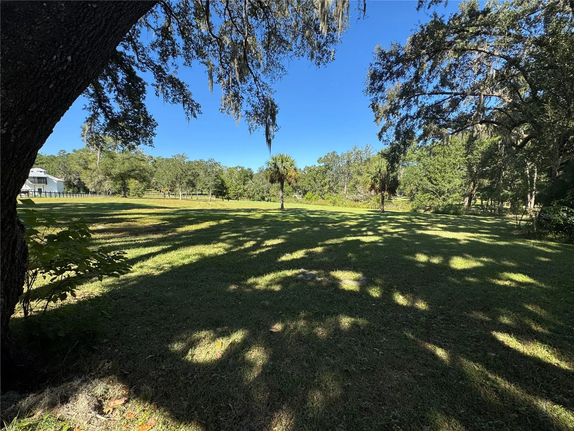 Tbd NE 185 Avenue Williston FL 32696