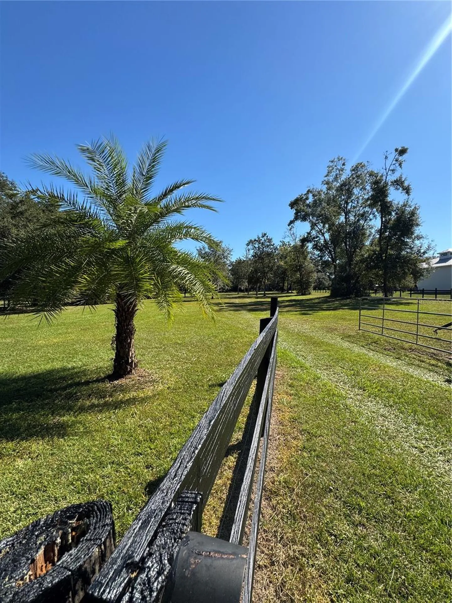 Tbd NE 185 Avenue Williston FL 32696