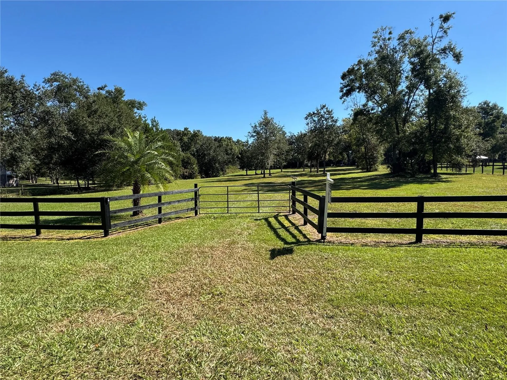 Tbd NE 185 Avenue Williston FL 32696