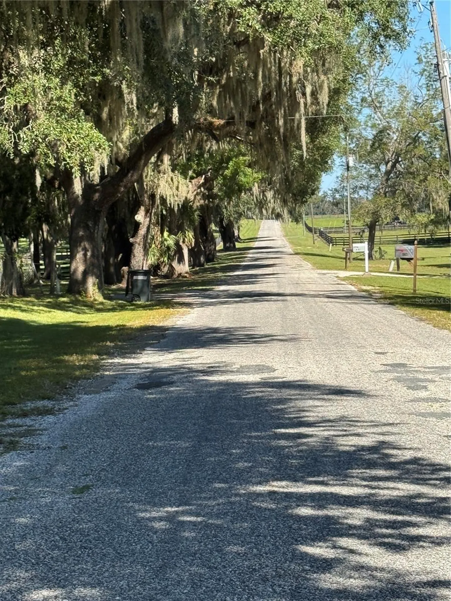Tbd NE 185 Avenue Williston FL 32696