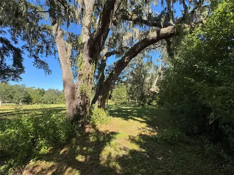 Tbd NE 185 Avenue Williston FL 32696