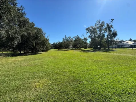Tbd NE 185 Avenue Williston FL 32696