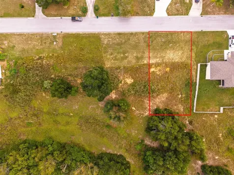 Morningview Drive Eustis FL 32726