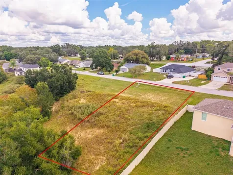 Morningview Drive Eustis FL 32726