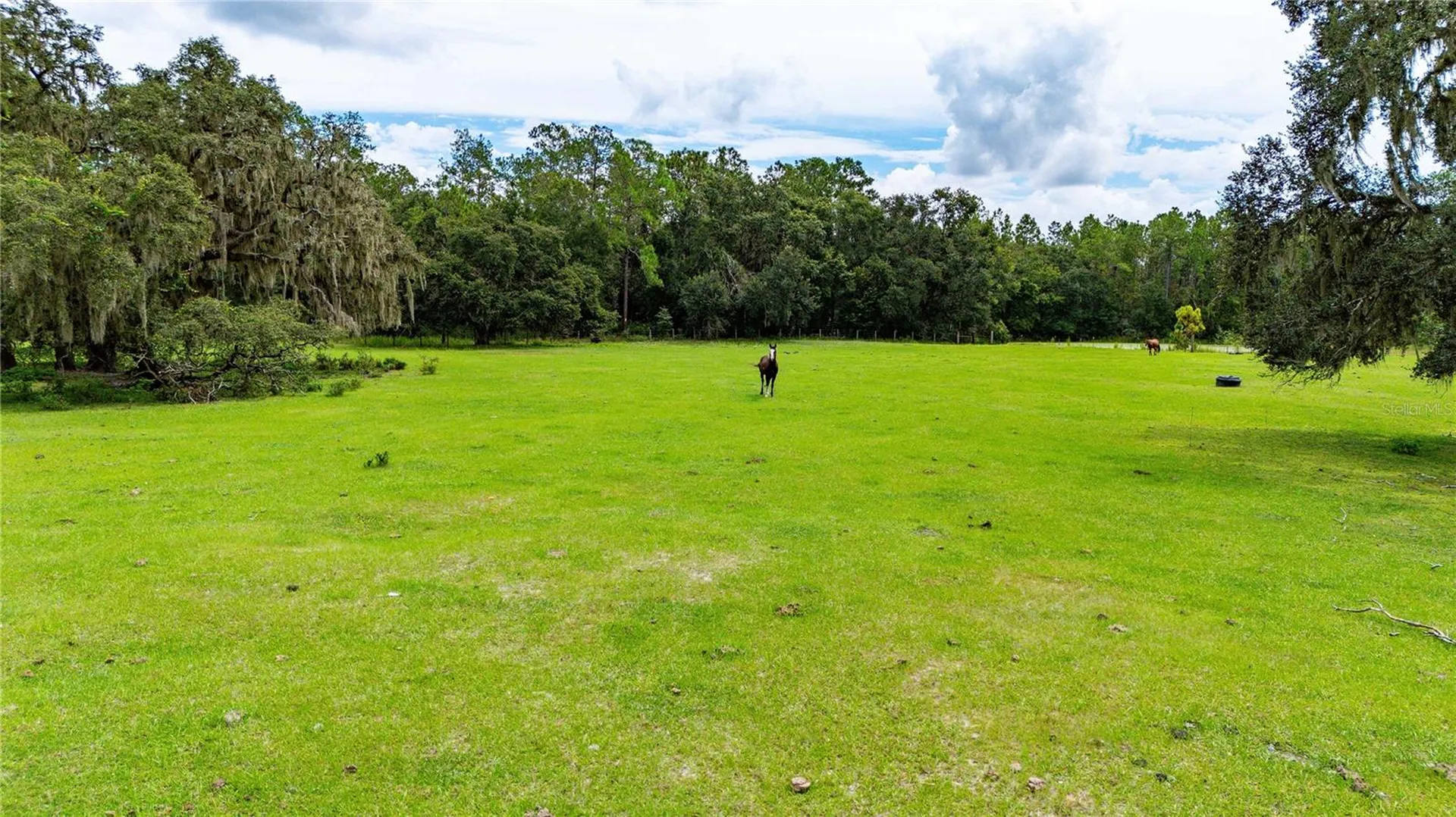 Pinkston Road Dade City FL 33523