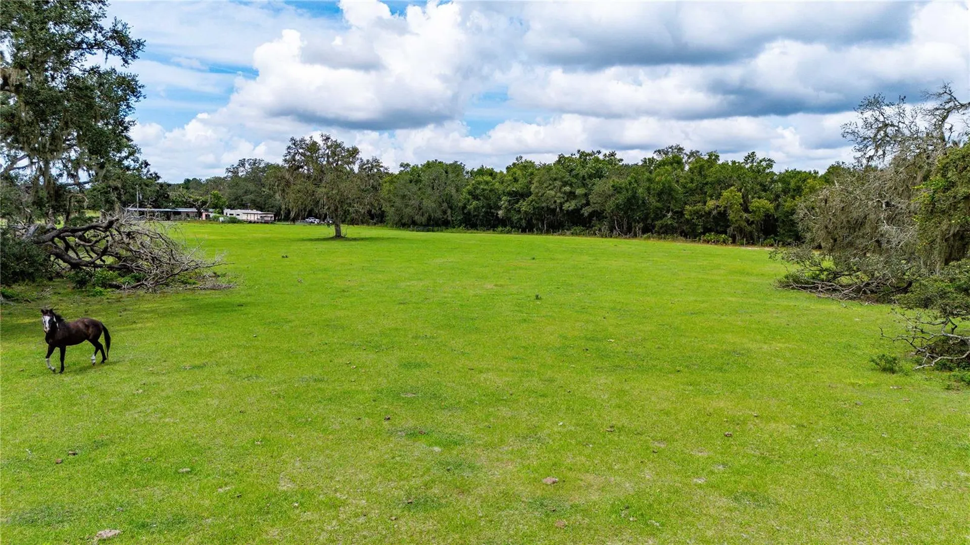 Pinkston Road Dade City FL 33523