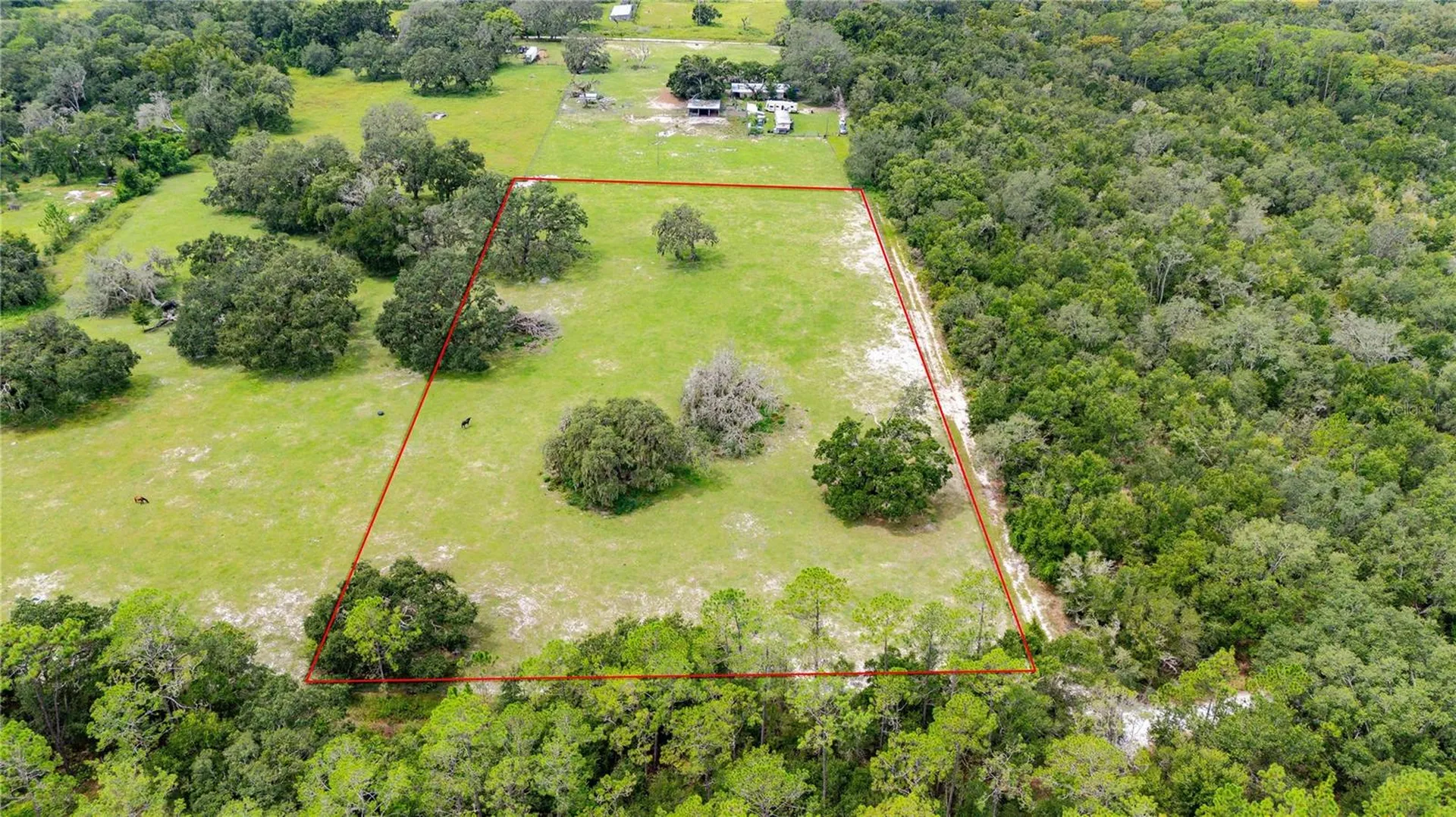 Pinkston Road Dade City FL 33523
