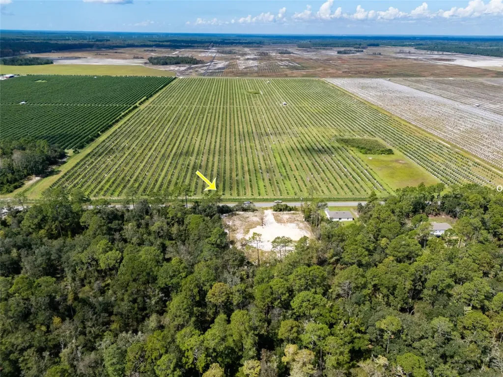 10340 Isaacson Avenue Hastings FL 32145