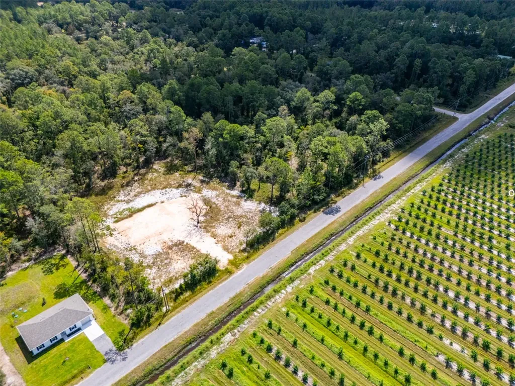 10340 Isaacson Avenue Hastings FL 32145