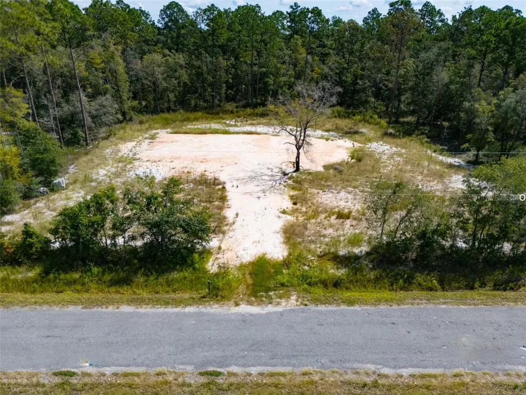 10340 Isaacson Avenue Hastings FL 32145