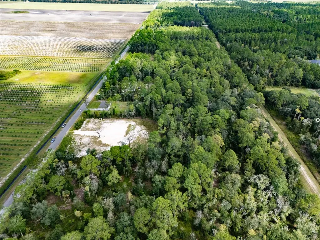 10340 Isaacson Avenue Hastings FL 32145