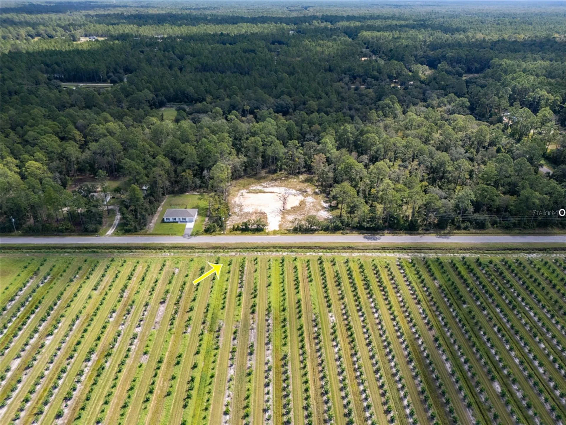 10340 Isaacson Avenue Hastings FL 32145