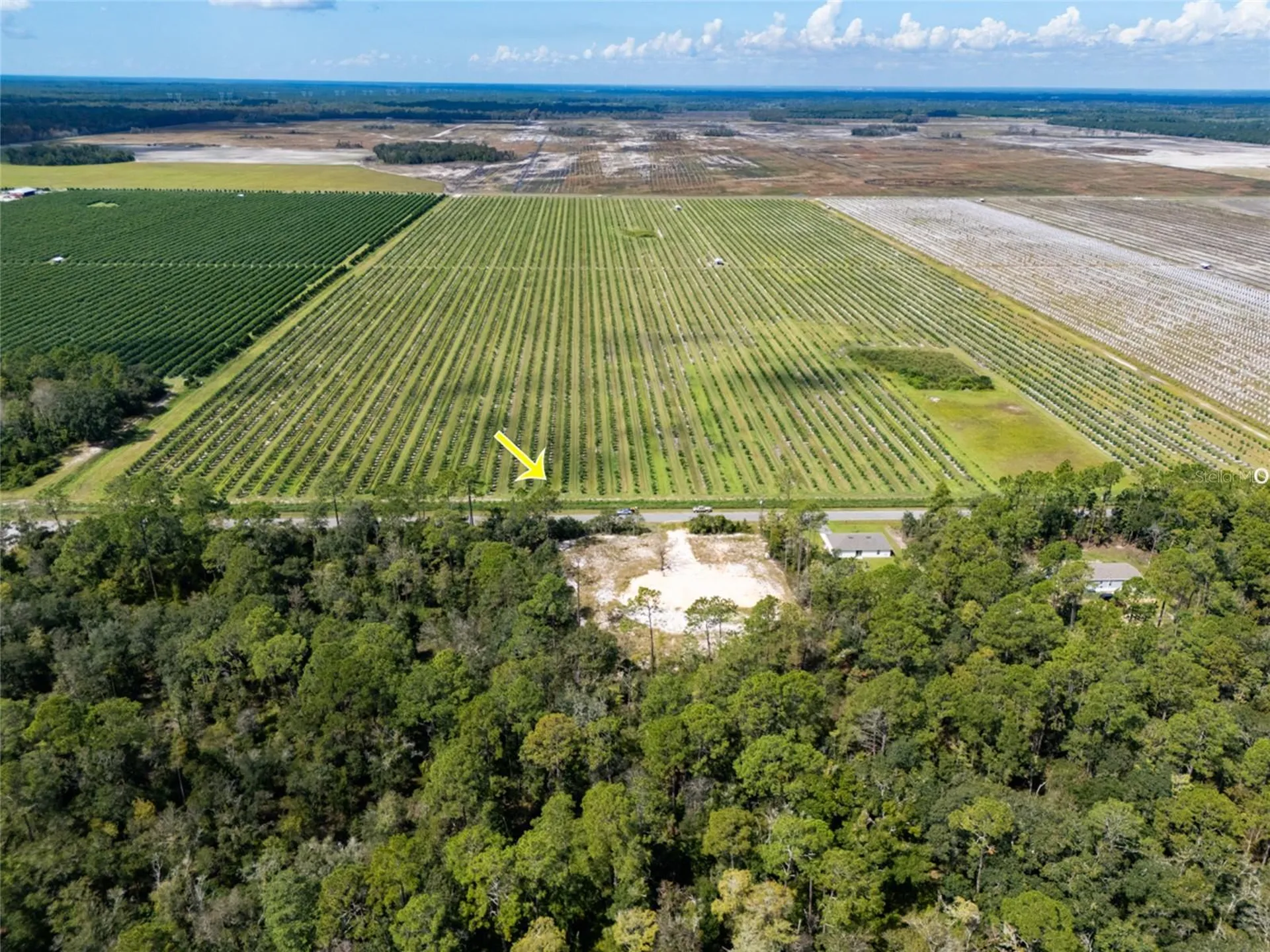 10340 Isaacson Avenue Hastings FL 32145