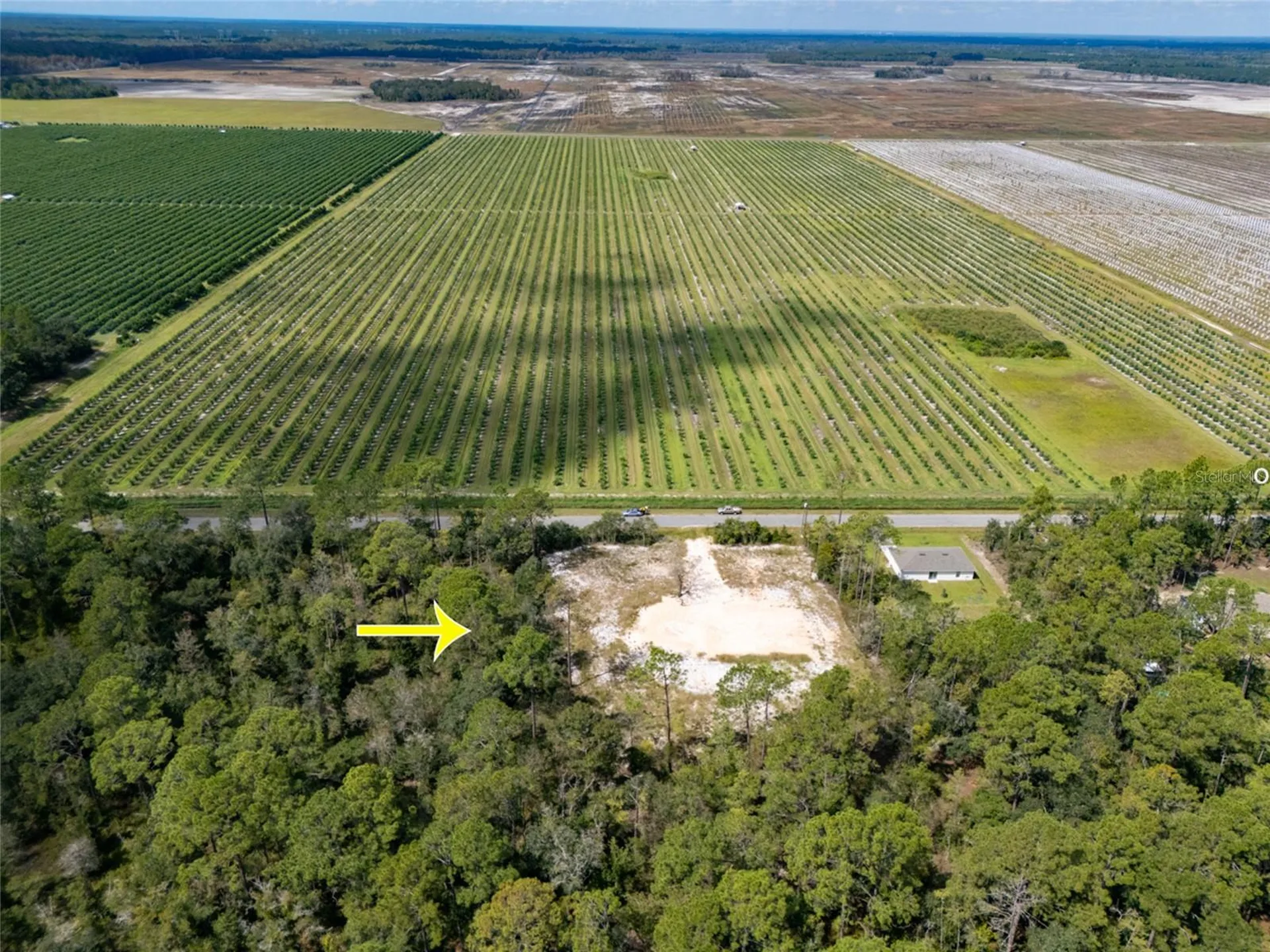 10340 Isaacson Avenue Hastings FL 32145