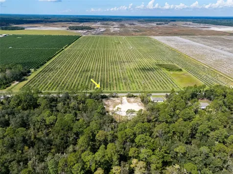 10340 Isaacson Avenue Hastings FL 32145