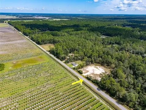10340 Isaacson Avenue Hastings FL 32145