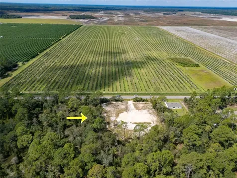 10340 Isaacson Avenue Hastings FL 32145