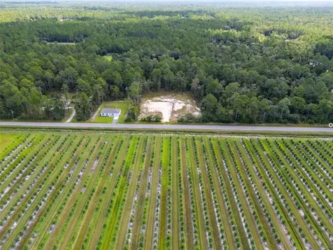 10340 Isaacson Avenue Hastings FL 32145