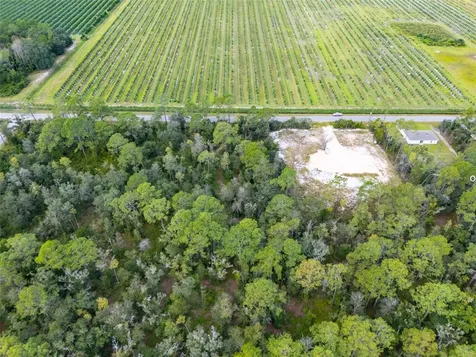 10340 Isaacson Avenue Hastings FL 32145