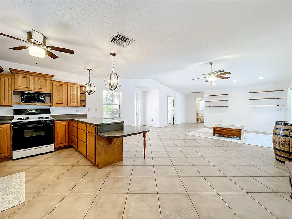 527 Sunnyside Drive Leesburg FL 34748