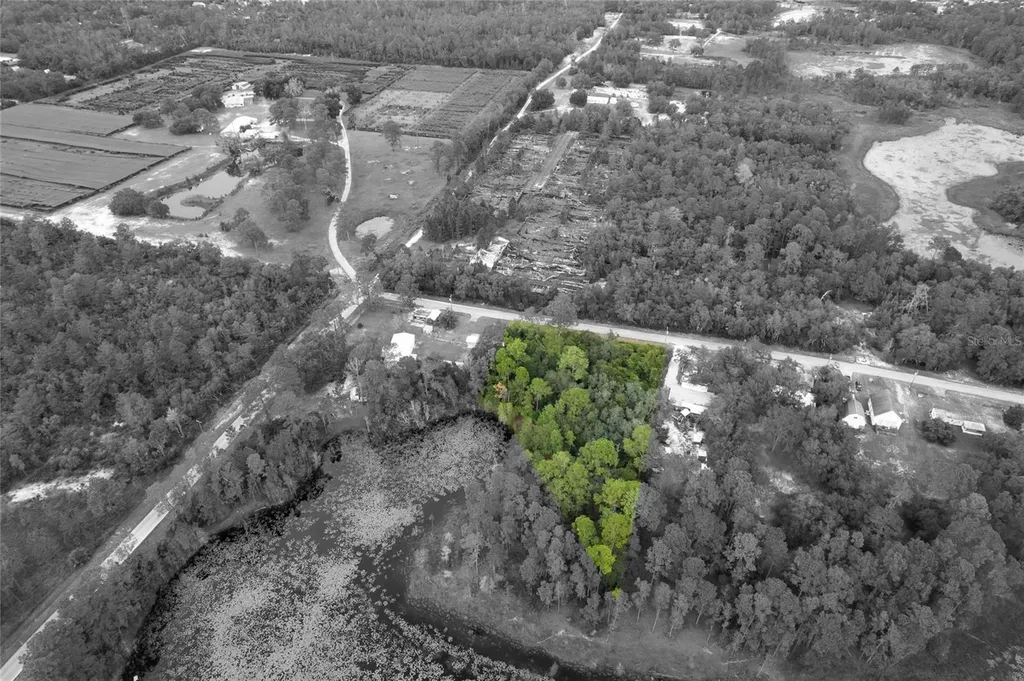 Pinecrest Road Eustis FL 32736