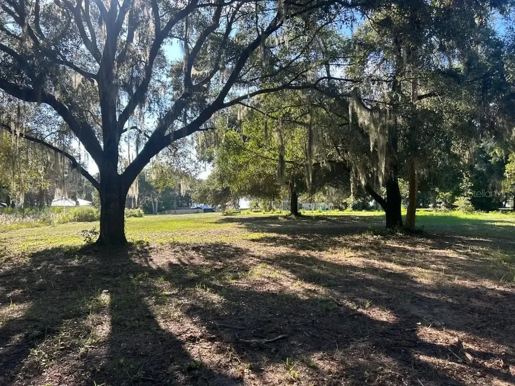 15365 SE 140th Avenue Road Weirsdale FL 32195
