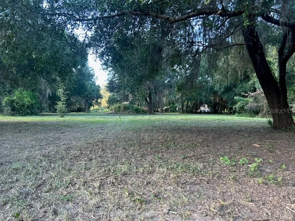 15365 SE 140th Avenue Road Weirsdale FL 32195