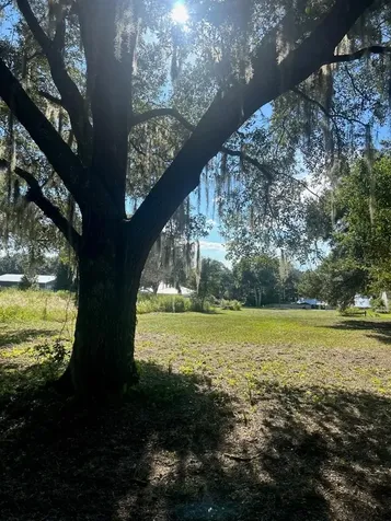 15365 SE 140th Avenue Road Weirsdale FL 32195