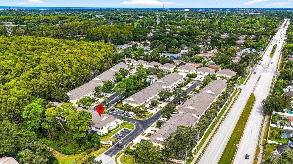 3408 Primrose Way Palm Harbor FL 34683