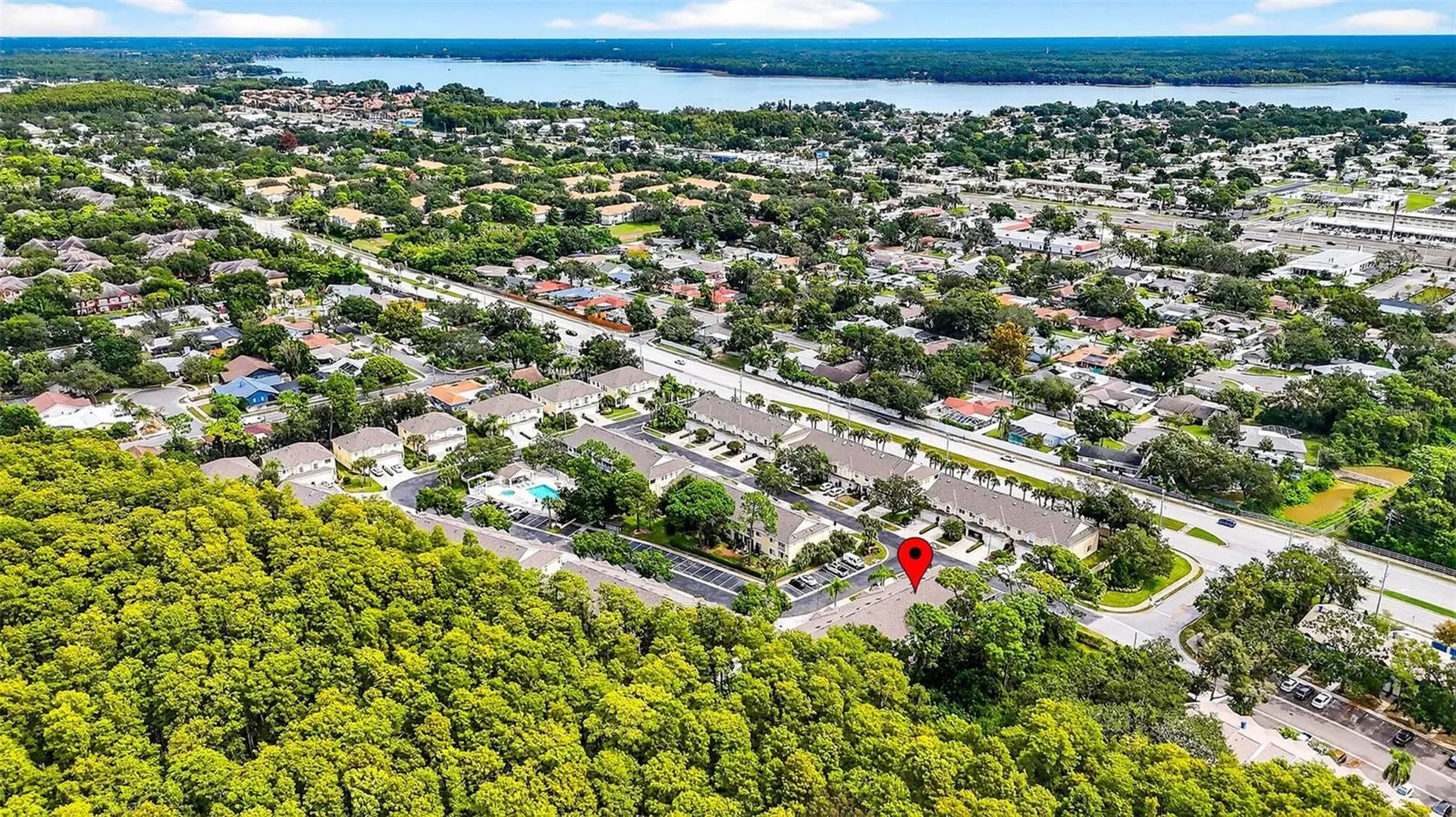 3408 Primrose Way Palm Harbor FL 34683