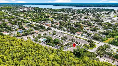 3408 Primrose Way Palm Harbor FL 34683
