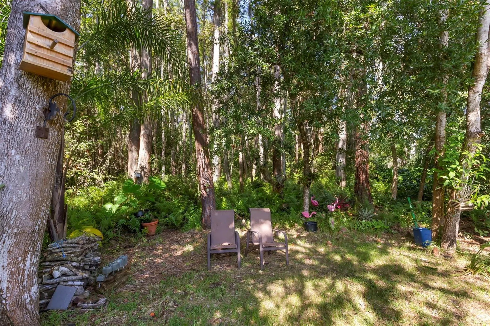 4060 Salem Square Parkway Palm Harbor FL 34685