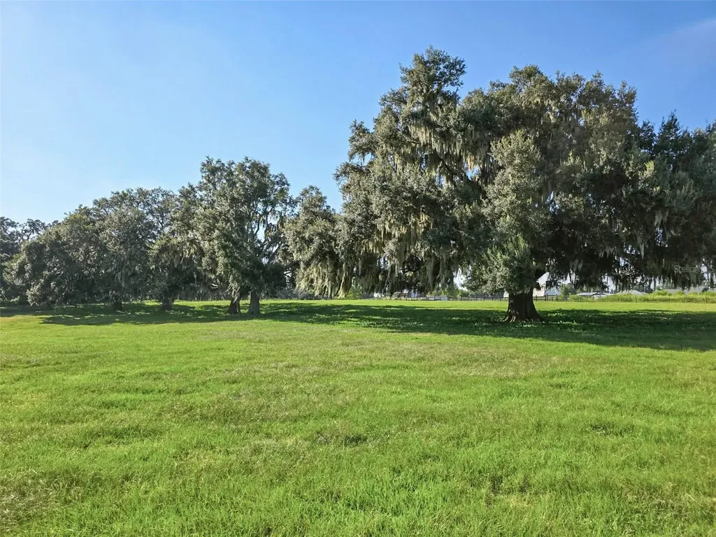 23220 NW 27th Street Morriston FL 32668